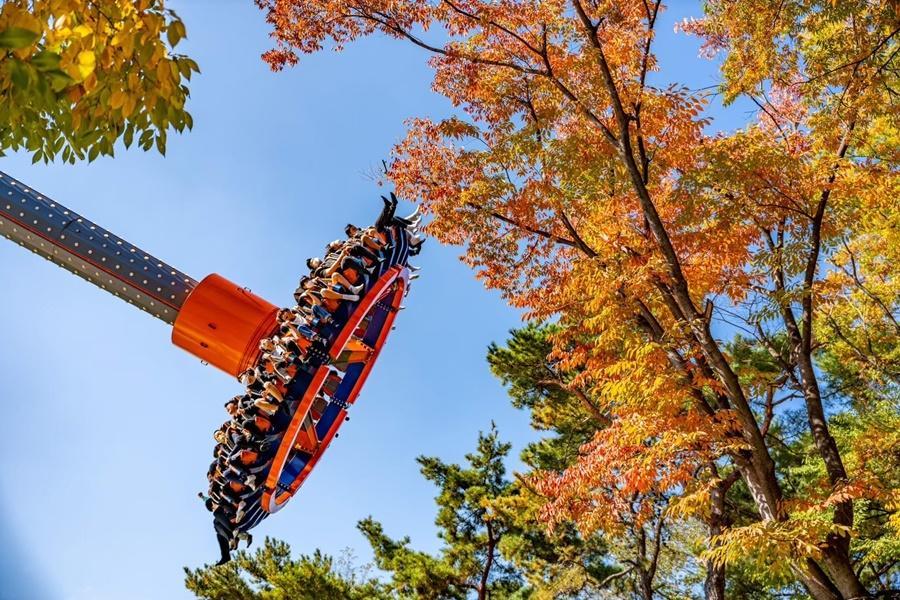 【玩楓釜邱】四季EWORLD樂園、登83塔、韓服體驗、梵魚寺兜楓趣5日