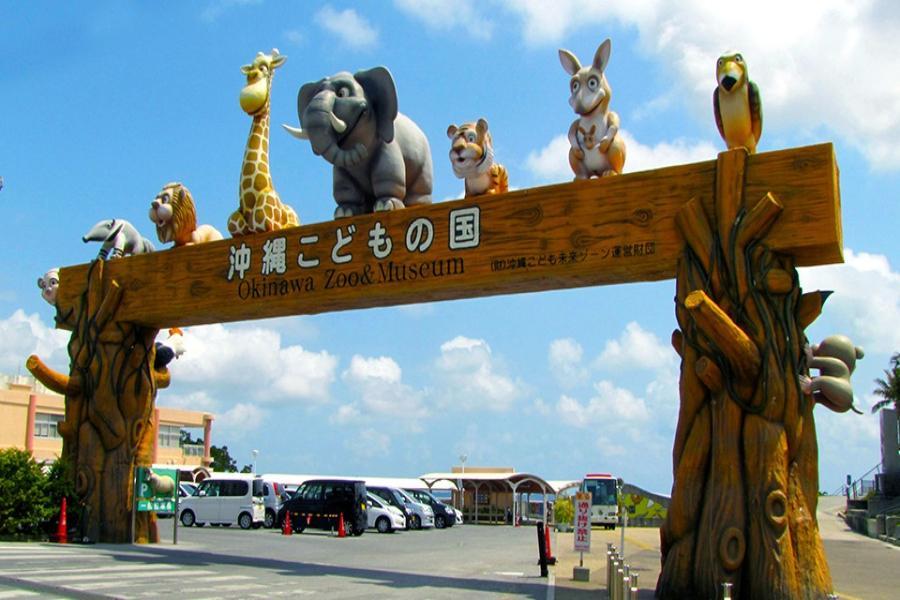 【泰想玩沖繩】海洋博館、恐龍公園、兒童王國、銀河半潛艇、星野咖啡4日