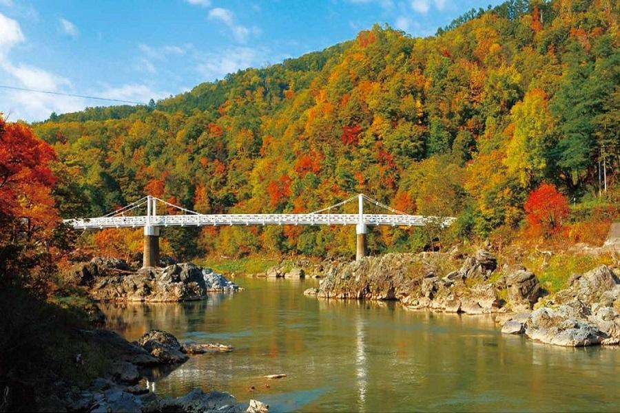 【紅葉知秋北海道】豐平峽谷、黑岳纜車、神居古潭、定山溪自然彩燈節5日