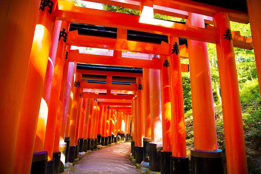 【歡樂三都】大阪環球.奈良梅花鹿.京都伏見.清水寺.嵐山渡月橋5日