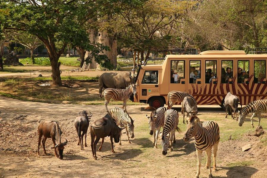 東海岸五星飯店、 野生動物園、 烏布、天空之門5日