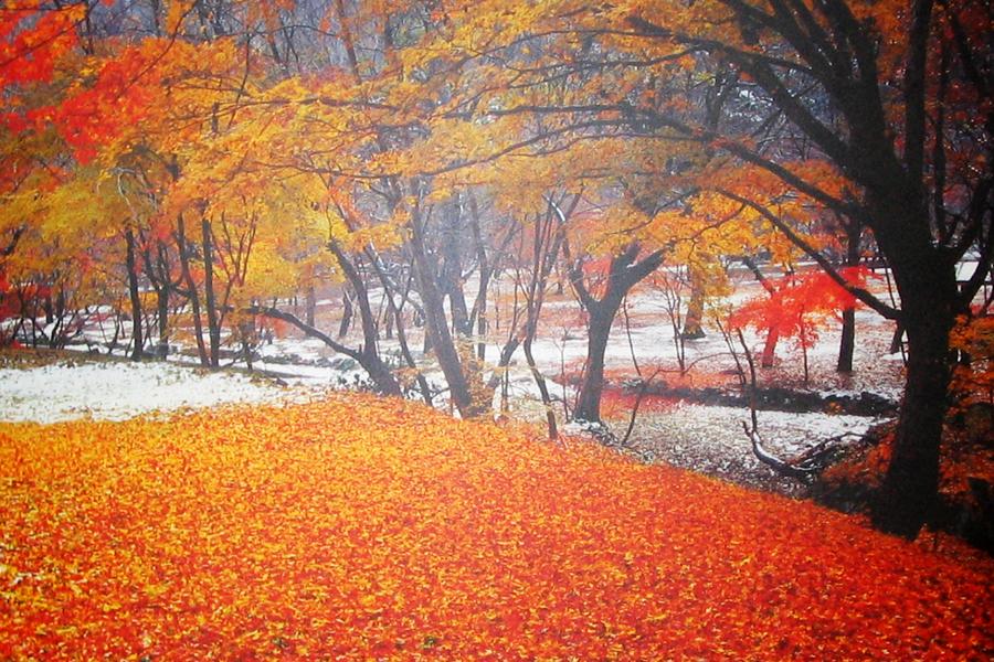 【升等明洞2晚】楓遊內藏山.韓服穿越遊韓屋.星空圖書館.時尚聖水洞5日