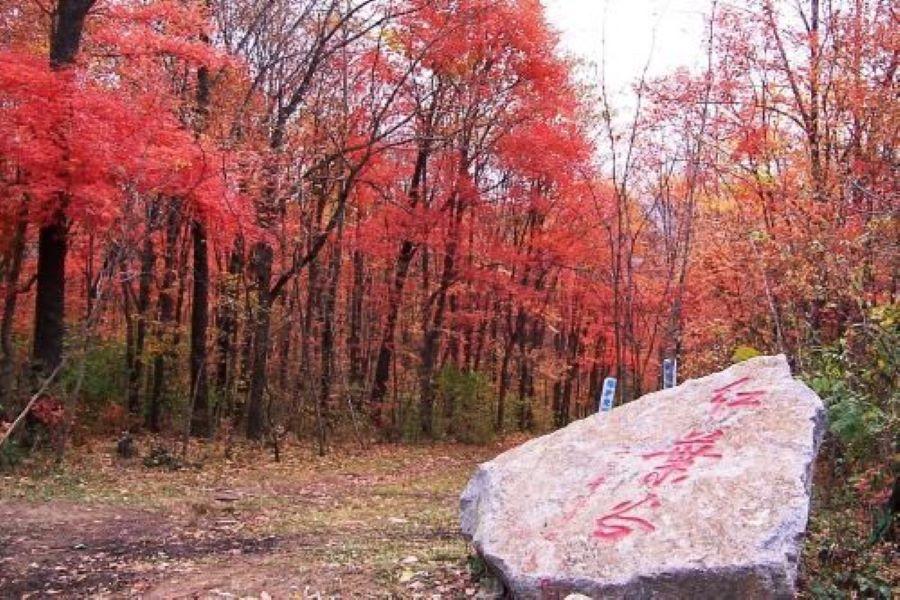 【秋韵東北】長白山享溫泉、關門山、盤錦紅海灘、頂奢四季酒店、三排椅八日