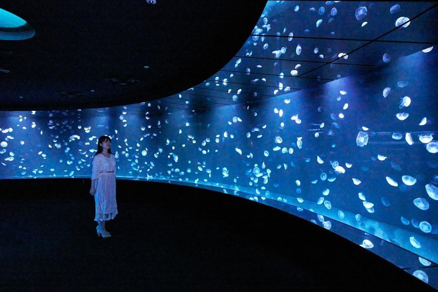 【東京秋天】箱根大涌谷、江之電、陽光水族館、八幡宮老街、螃蟹、溫泉5日