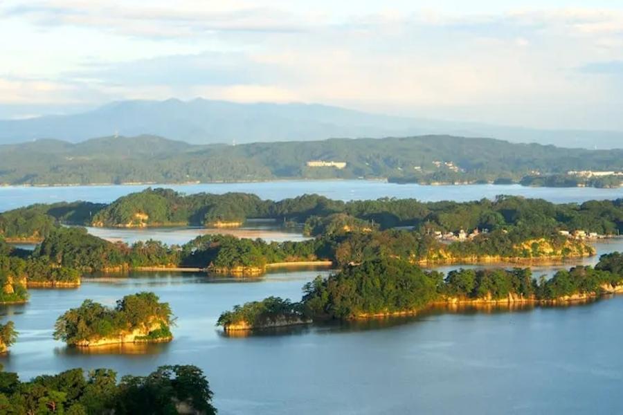 【限時限量】三景松島、平泉毛越寺、手烤魚板、藤原和服體驗、青仙角館5日