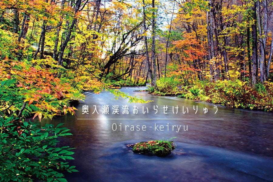 【精選秋紅道南東北】奥入瀬渓、青函隧道、八甲田山、美學美景新幹線五日遊