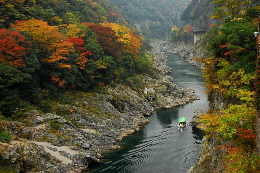 【限時限量】追楓四國、大洲栗林、峽谷奇橋、雙城楓纜車、愛媛百選購物5日