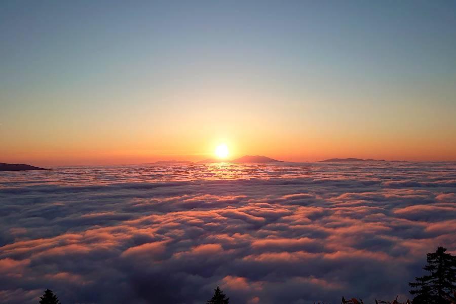 【典藏星野雙雲海】黑岳纜車、富田農場、阿寒湖、旭山動物、和牛三大蟹七日