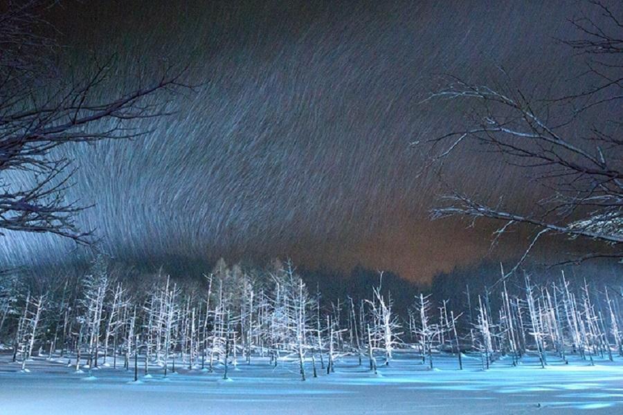 【北海道冬季魅影】青池點燈・雪樂園・樹燈節・運河貢多啦・小樽之夜6日