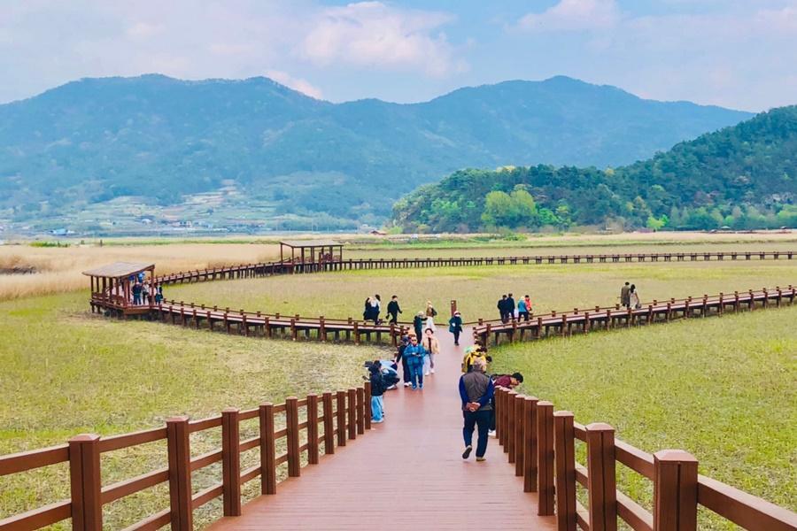 釜山全羅深度漫遊~順天灣濕地、麗水纜車、雙溪寺、無盡亭、海濱列車5日