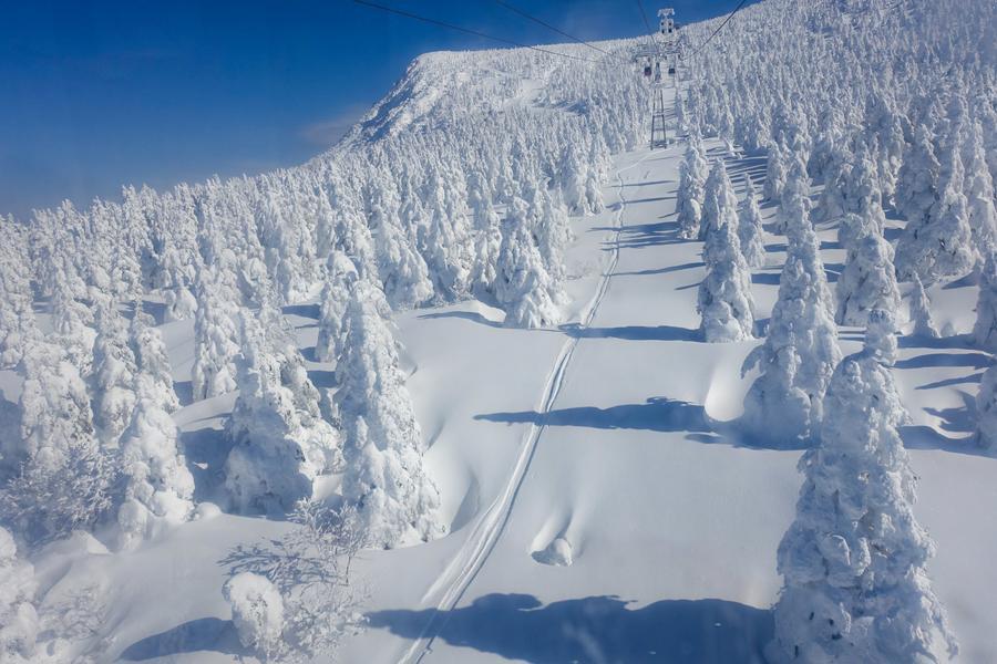限量藏王樹冰｜鐵道緩行、雪樹靜語、輕舟吟遊、鄉饌漫味、銀白溫泉之夜5日