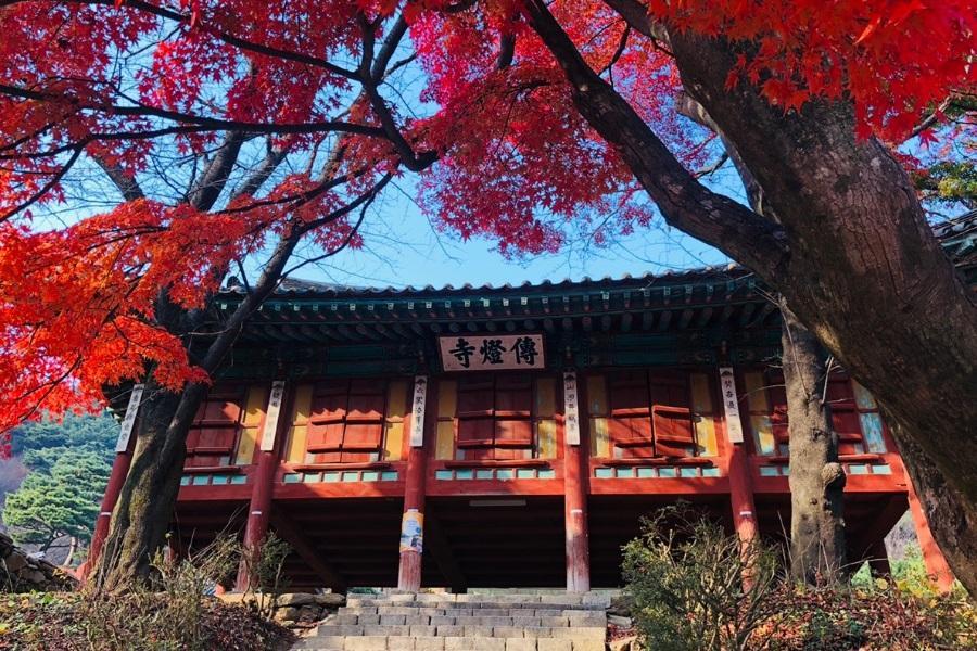 【韓國楓情】浪漫南怡島.丹陽滿天下.江華島傳燈寺.天空步道.明洞5日