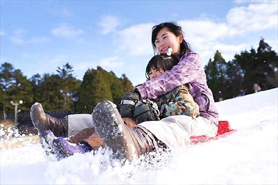 台中出發【逐雪漫旅】六甲山戲雪‧保住環球周邊‧和牛海鮮溫泉美食5日