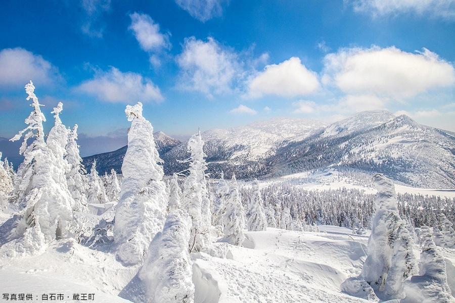 限時限量｜東北雪怪・藏王樹冰｜雪景小火車・銀山溫泉・泡湯採果玩雪趣7日
