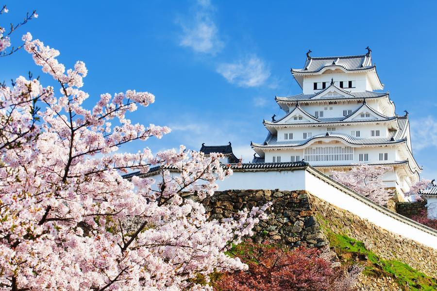 【維京遊輪-伊敦號】春櫻物語、日本平、熊野古道、小豆島、姬路城12天