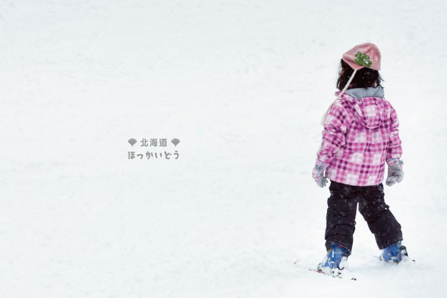 精選雙夜景、滑雪場玩雪、北國三大蟹、保住海與燈、超萌熊牧場、星宇五日遊