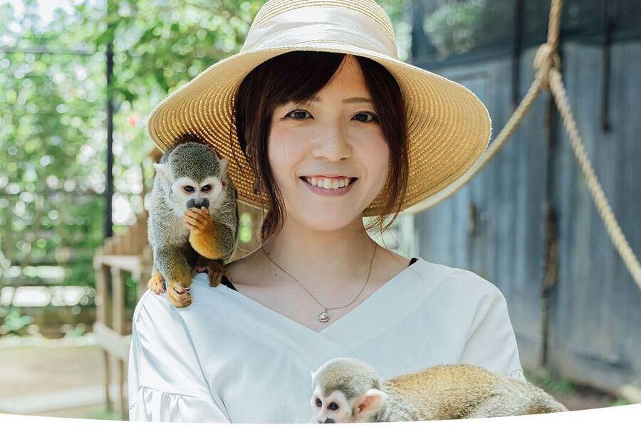 台中出發【童趣沖繩】雙水族館、兒童王國、東南植物園、一晚海濱飯店四日