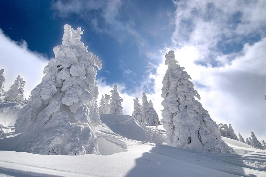 限量｜東北雪白物語、藏王樹冰雪之精靈、鐵道緩行、溫泉療癒、仙台青森5日