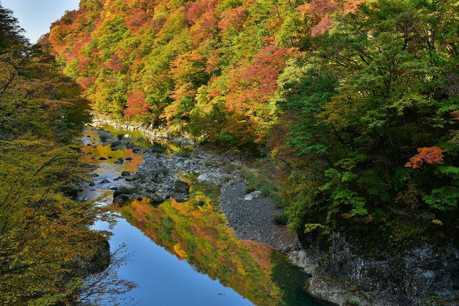 限量秋遊、青森仙台｜奧入瀨紅葉舞、角館街楓韻浮、抱返溪谷賞秋、東北5日