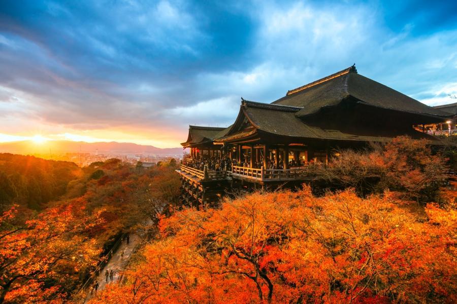 台中出發【關西楓旅】紅葉名所～南禪寺‧永觀堂、保住溫泉‧和牛吃到飽5日