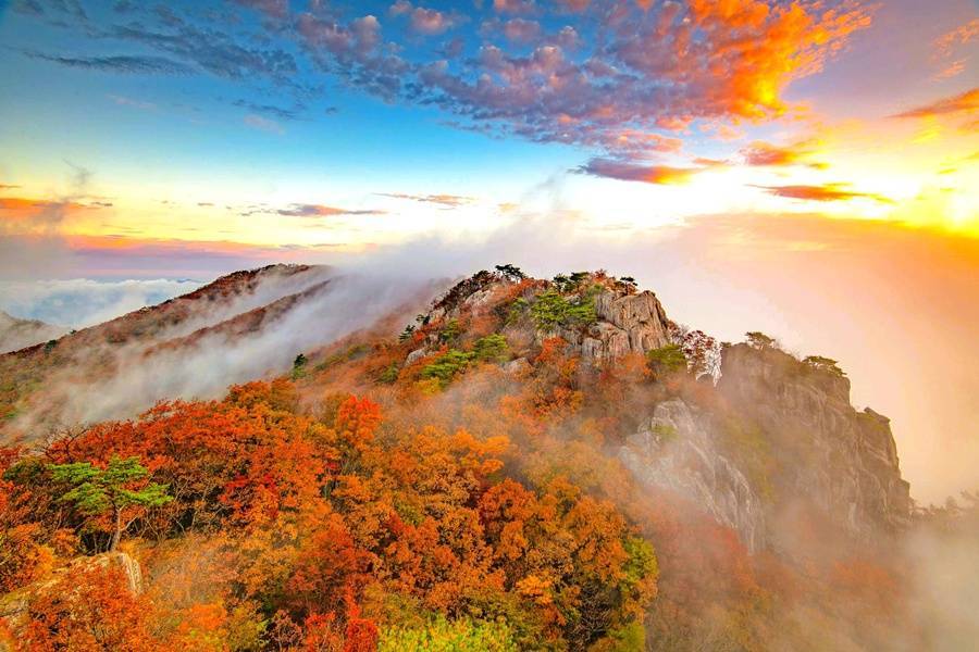 秋戀韓國~大芚山龍門纜車.愛寶樂園歐洲村.景福宮韓服.南怡島賞銀杏5日