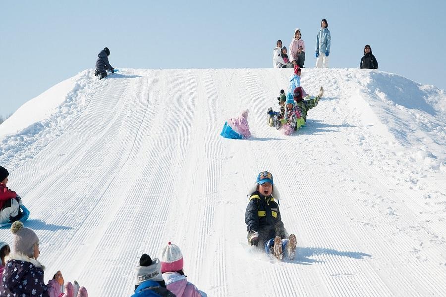 【賀歲北海道・富良野遊蹤】歡寒村・雪樂園・冰瀑季・青池雪景5日