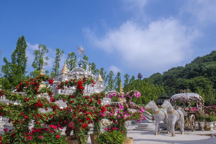 【全程市區飯店】愛寶春日花海.廣藏美食探索.夢幻星空圖書館.明洞4日