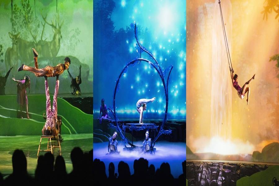 【全程市區飯店】愛寶記憶之翼馬戲秀.廣藏美食探索.星空圖書館.明洞4日