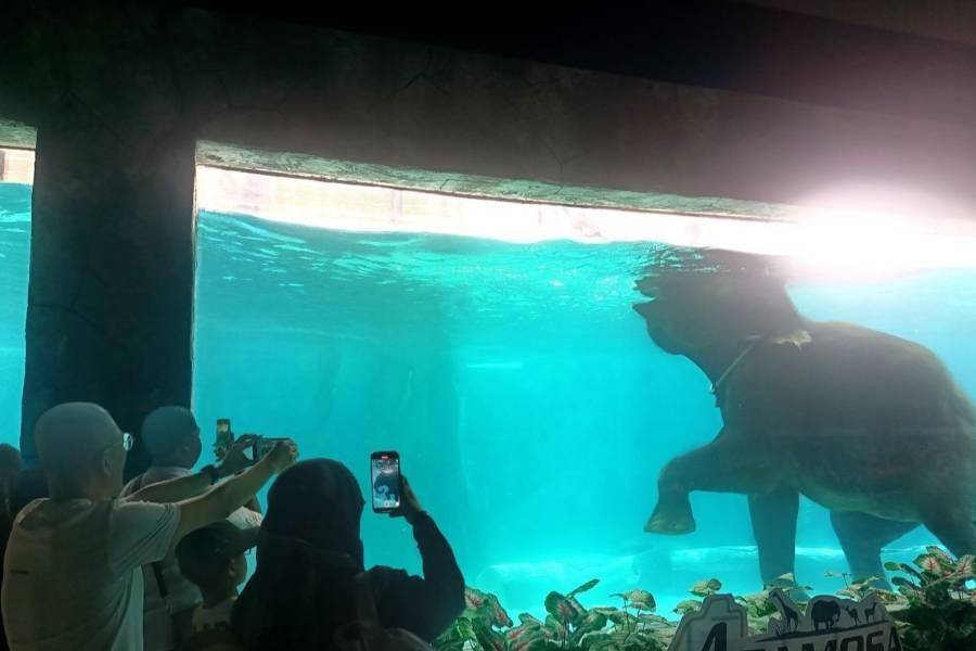 【馬航愛馬來】波德申全新飯店、野生動物園、黑風洞、斜坡滑車、米推餐6日