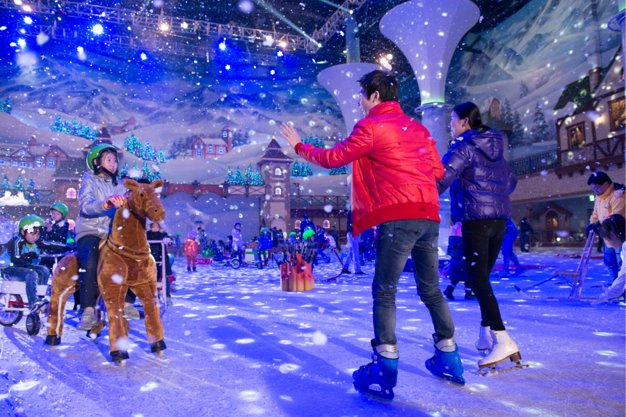 【保住五星飯店】冰雪世界樂園.韓服遊景福宮.特麗愛藝術.海鷗船體驗5日