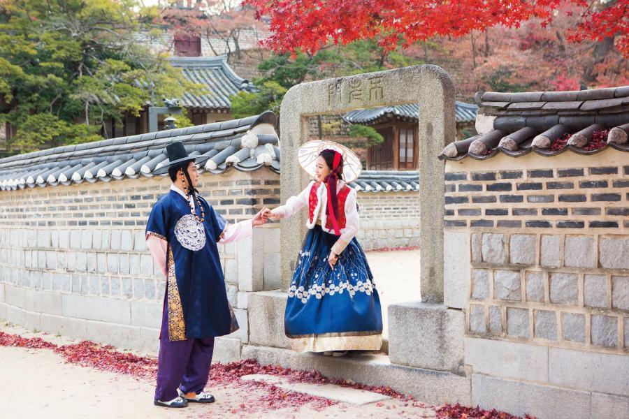 【保住五星飯店】韓國餵海鷗體驗.韓服遊古宮.古宅星巴克.普羅旺斯村5日