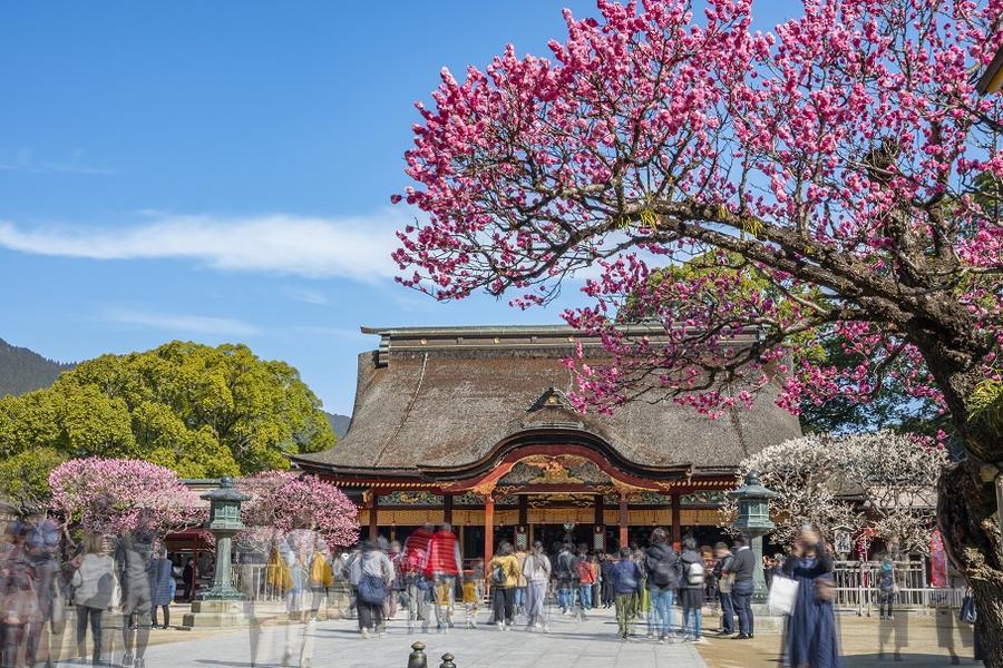 【九州限時超值樂】一晚溫泉、唐戶市場、太宰府湯布院、日田風情物語4日