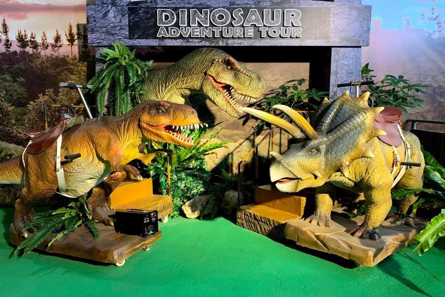 【童樂沖繩】海洋博館、鳯梨恐龍園、兒童王國、星野咖啡、銀河半潛艇4日