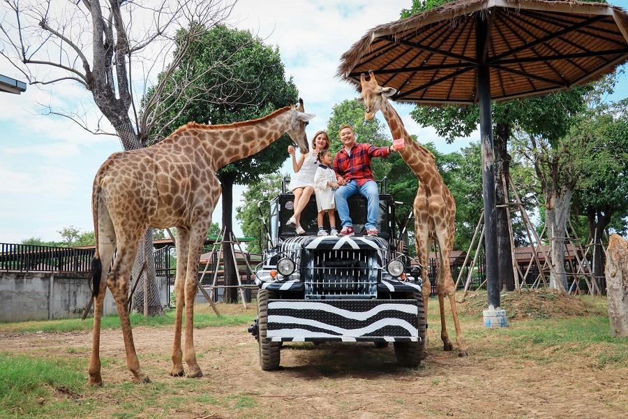 【金馬賀歲耀曼芭】獅子長頸鹿動物園、侏羅紀互動體驗、海天盛宴、米推美食