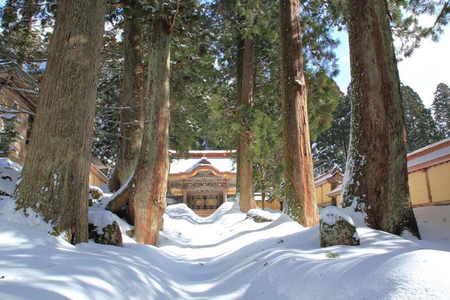 限量名古屋輕旅行、單人不加價｜米其林景點、世界遺產、開運戀愛名古屋5日