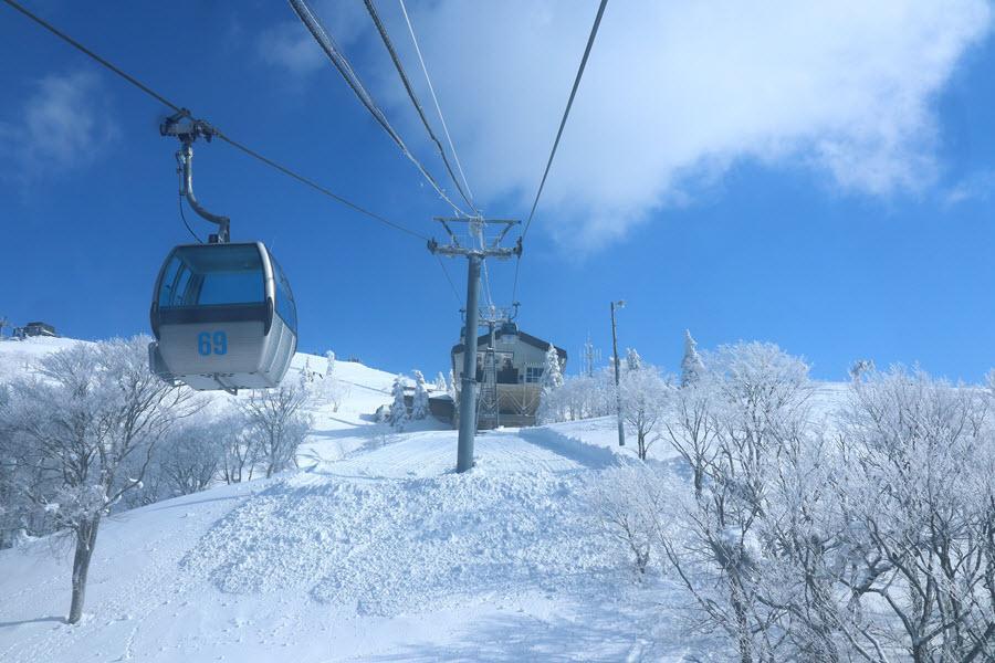 限量仙青、單人不加價｜森吉山樹冰、青森睡魔村、三景松島、仙台輕旅5日