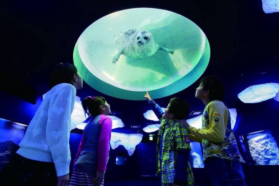 【迎春冬遊】兩晚五星‧六甲山戲雪‧海遊館‧黑門市場‧美食饗宴5日