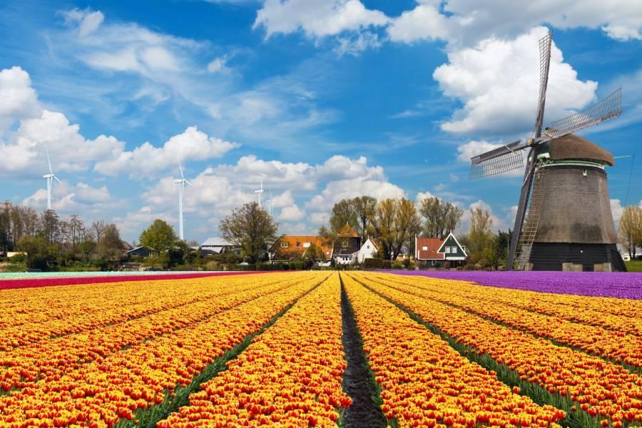 戀戀荷比盧-庫肯霍夫花季.雙遊船.聖彼得洞窟.迪南小鎮.列日鬆餅10天