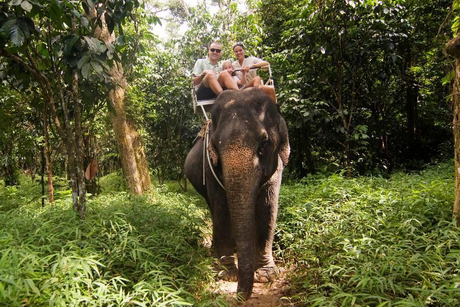 《精選清邁》最美藍白廟、象園體驗、南奔古寺、米其林推薦美食六日