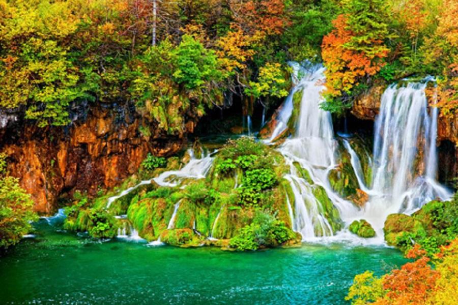 台中出發 成都熊貓基地.樂山大佛.峨嵋山金頂.黃龍九寨溝九日