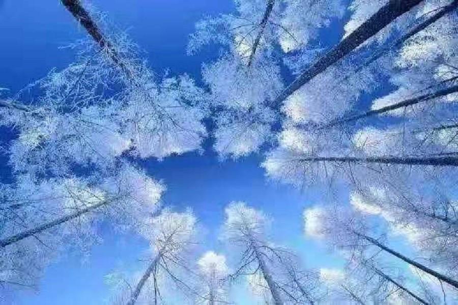 冬季牧歌、遊冰雪伊犁、賞賽里木湖藍冰、滑雪、泡溫泉 童話北疆8日