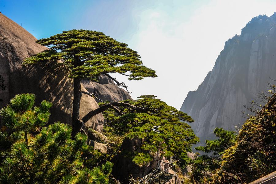 【雙世界遺產之旅】黃山２晚、畫裡宏村、千島湖、西湖、南潯、潮樂之城8日