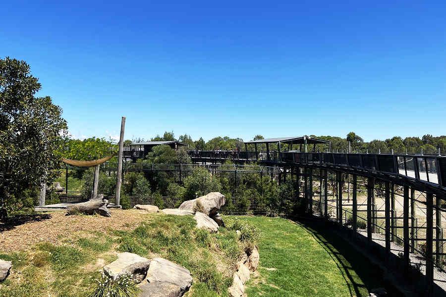 【高雄出發】魅力雪梨~藍山國家公園、無尾熊合照、水族館、蠟像館7天
