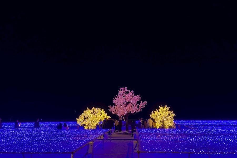 【年終清倉】釜山樂天、草莓農場、光之慶典、海洋列車、魚糕餅DIY5日