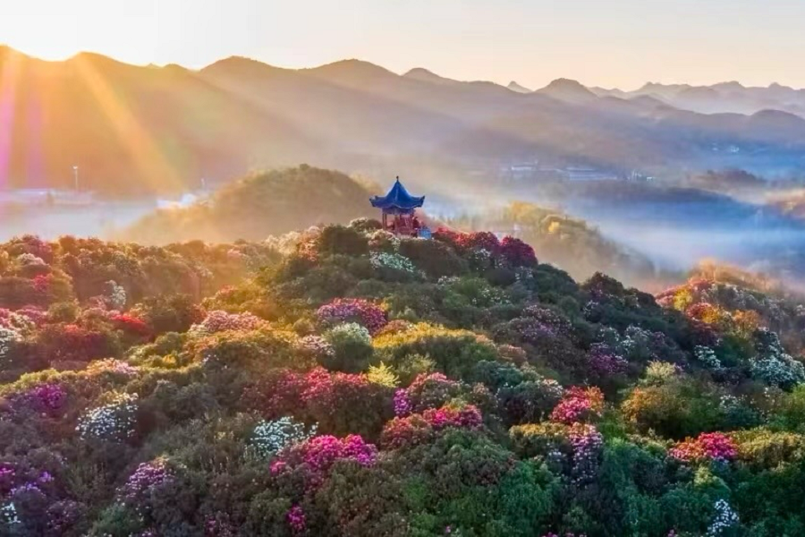 台中出發~宇你相約.荔緻貴州.黃果樹大瀑布.賞百里杜鵑8日