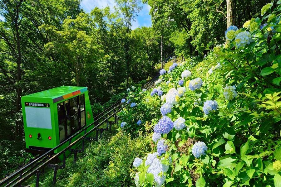 【精選長榮釜山】統營壁畫村.甘川洞.最美海岸列車.風之丘.天空步道6日