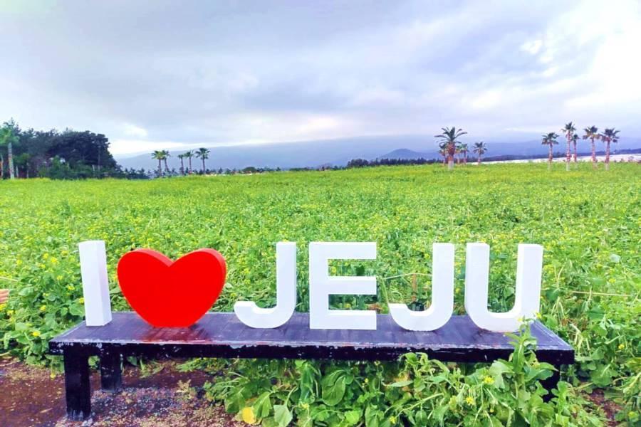 跟著韓劇玩濟州~海女博物館.四季賞花.油菜花田.童話村.韓服體驗5日