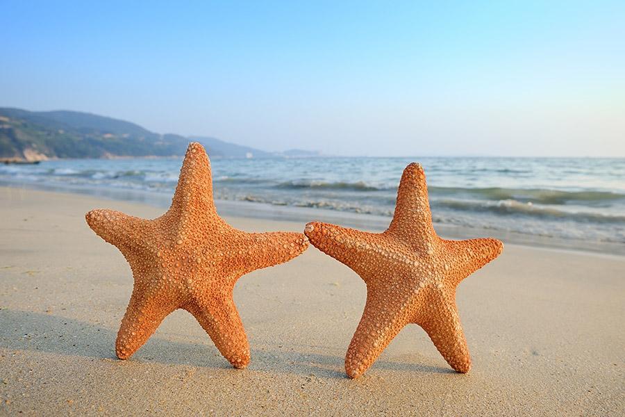 【星星相遇】星宇直飛富國島~獨家海星沙灘秘境．精彩三樂園．跨海纜車5日