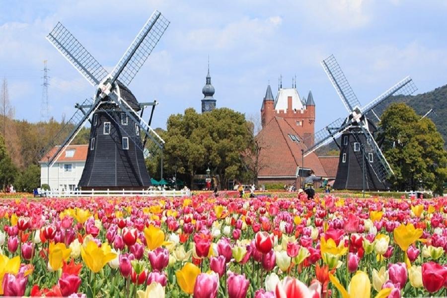 【限時九州5日】豪斯登堡繽紛花海│隔日再入園＋teamLab森林