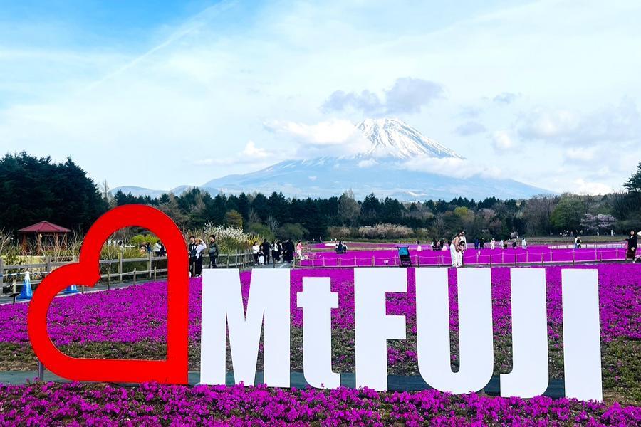 【富士春芝櫻】纜車、田貫湖、白絲之瀧、忍野八海、鎌倉小町、螃蟹溫泉5日